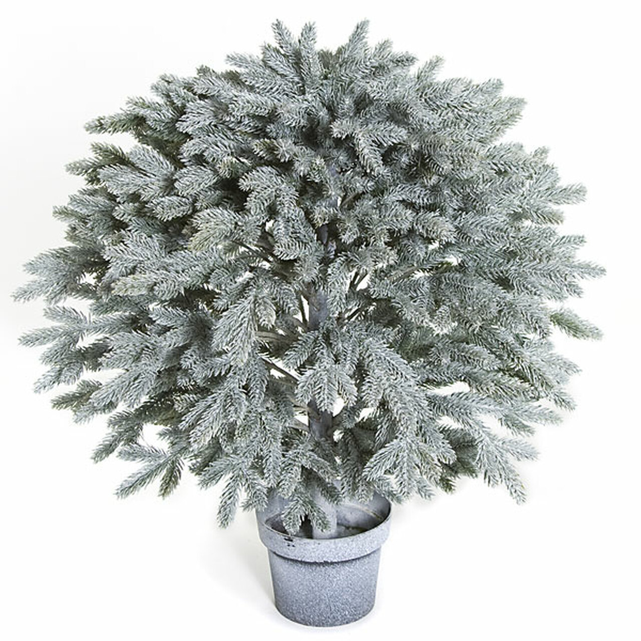 27 Inch Potted Frosted Blue Balsam Ball Topiary